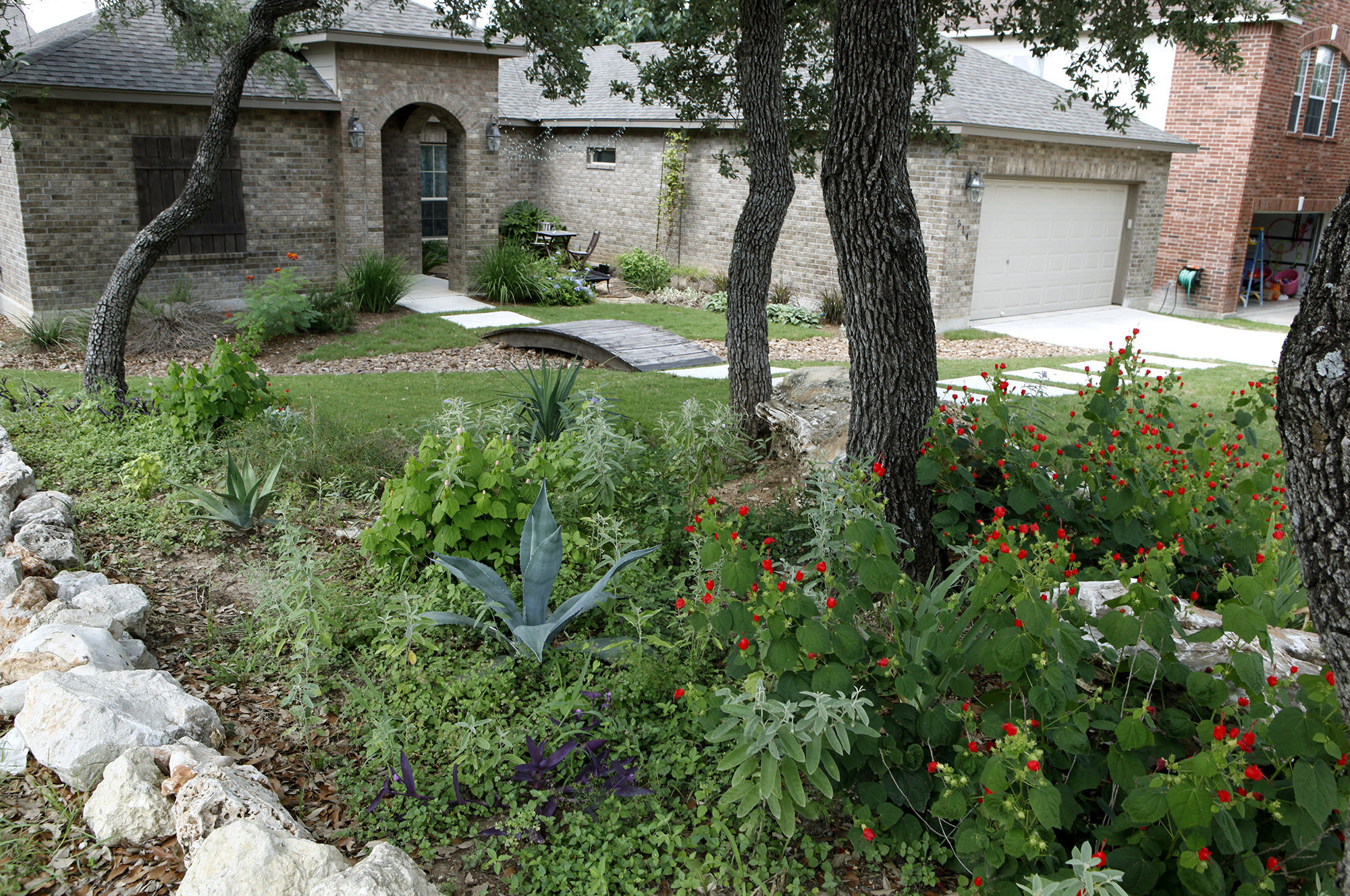 SAWS Encourages Water friendly Lawn Makeovers With Rebate