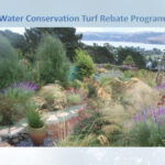 Solano County Water Conservation Turf Rebate City Of Rio Vista