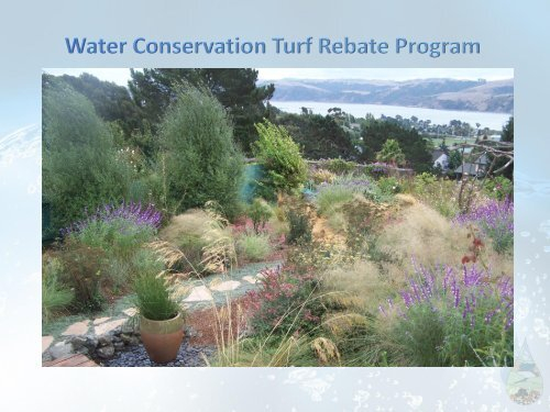 Solano County Water Conservation Turf Rebate City Of Rio Vista