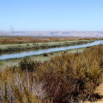 Supporters Of Santa Clara Valley Water District Clean Water Measure