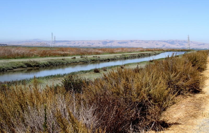 Supporters Of Santa Clara Valley Water District Clean Water Measure 