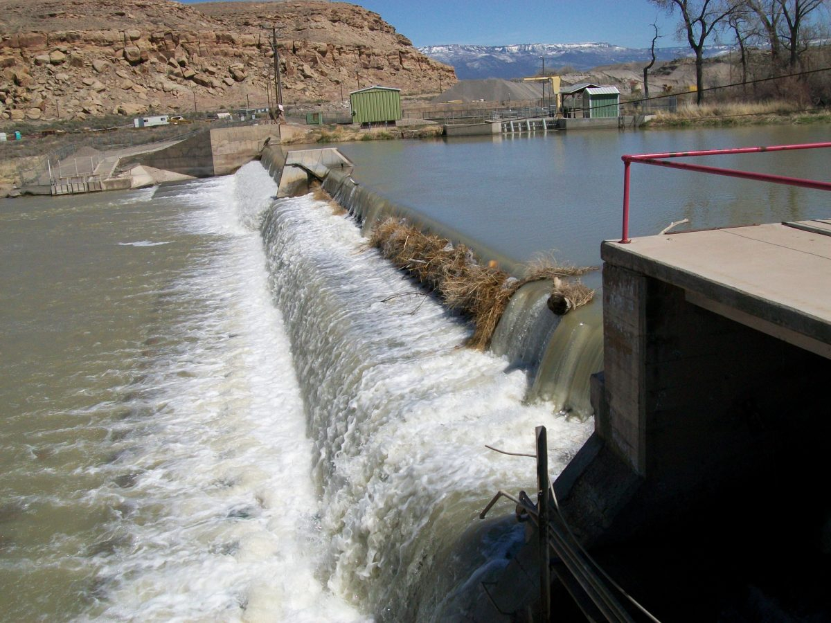 The Company Redlands Water And Power Co 