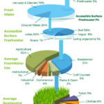 The Importance Of Water Conservation Turf Factory