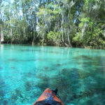 Three Sisters Springs Citrus County FL Paul Clark Flickr