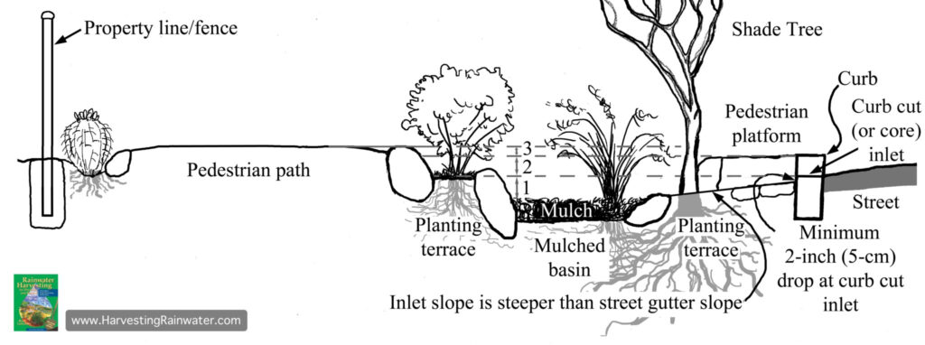 Tucson Water Harvesting Rebate WaterRebate