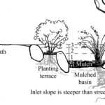 Tucson Water Harvesting Rebate WaterRebate