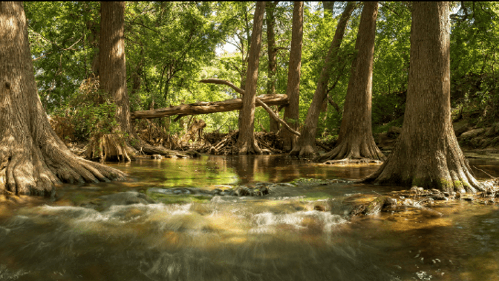 Water Quality Warning For Cibolo Nature Center Creek WOAI