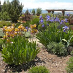 Water wise Landscape Ideas For Existing Landscapes USU