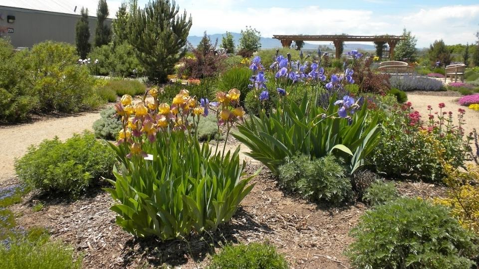 Water wise Landscape Ideas For Existing Landscapes USU